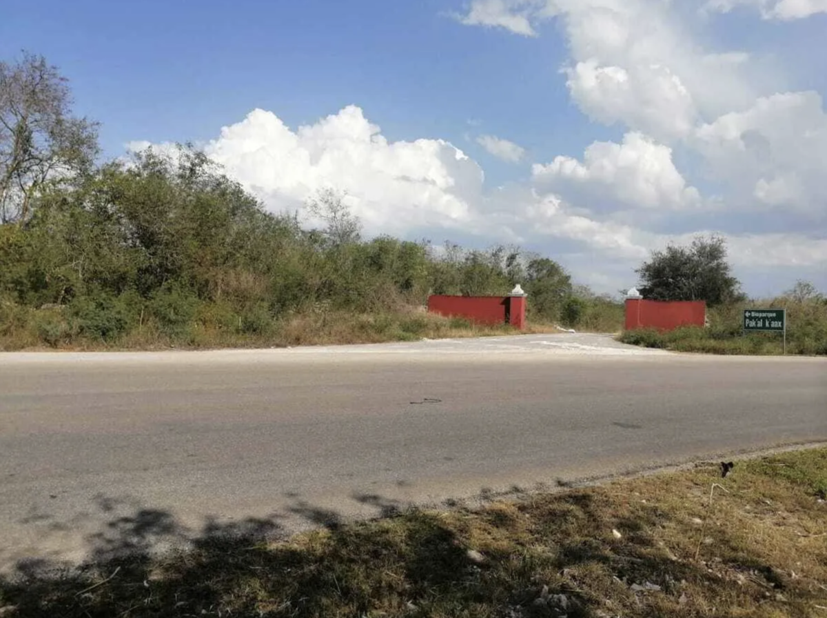 3 de 3