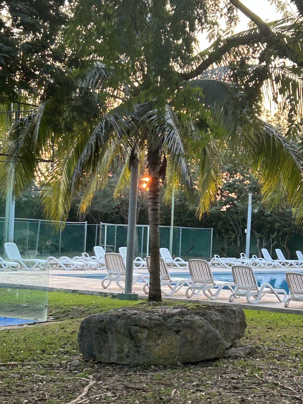 4 de 9