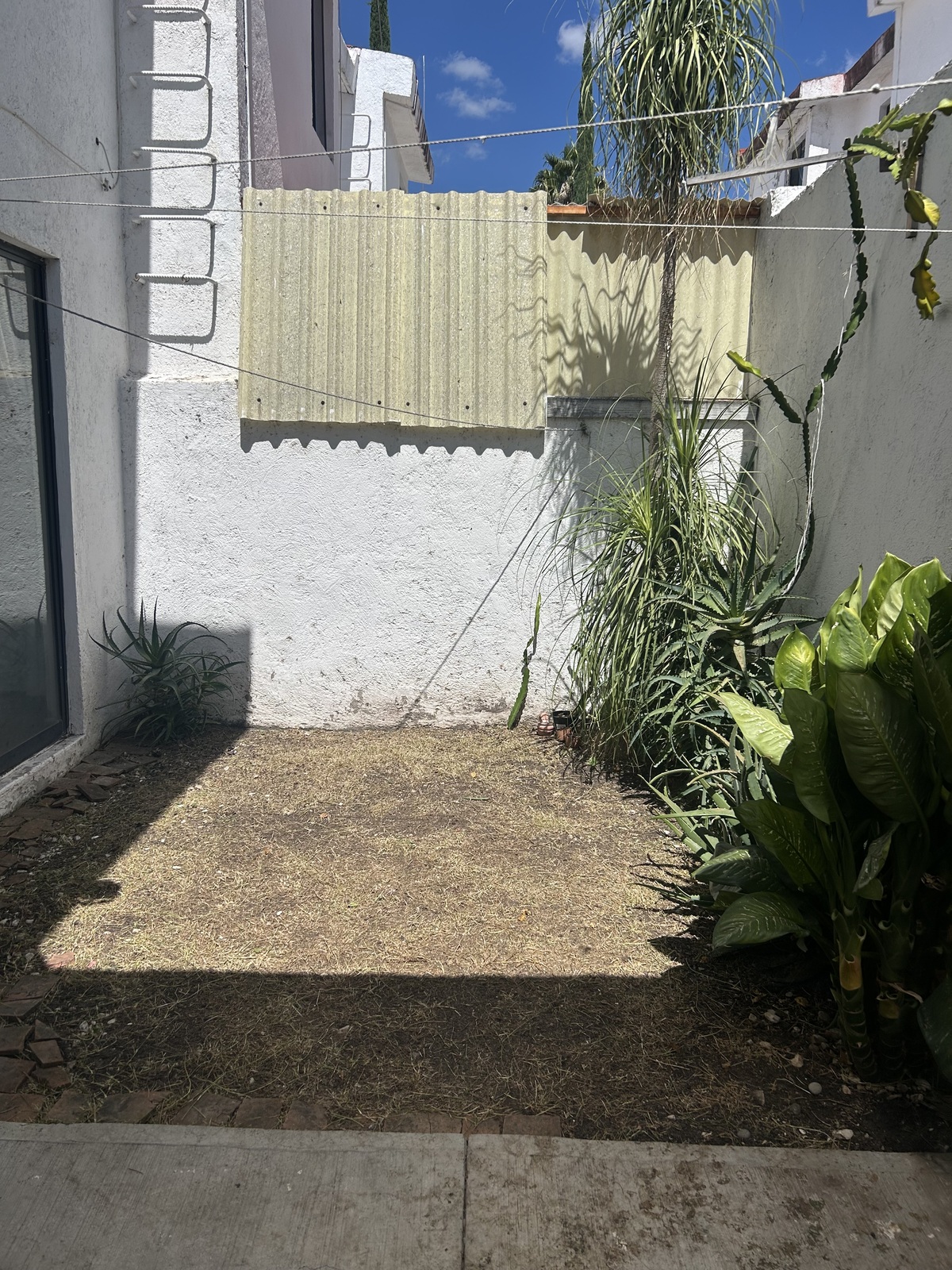 20 de 20