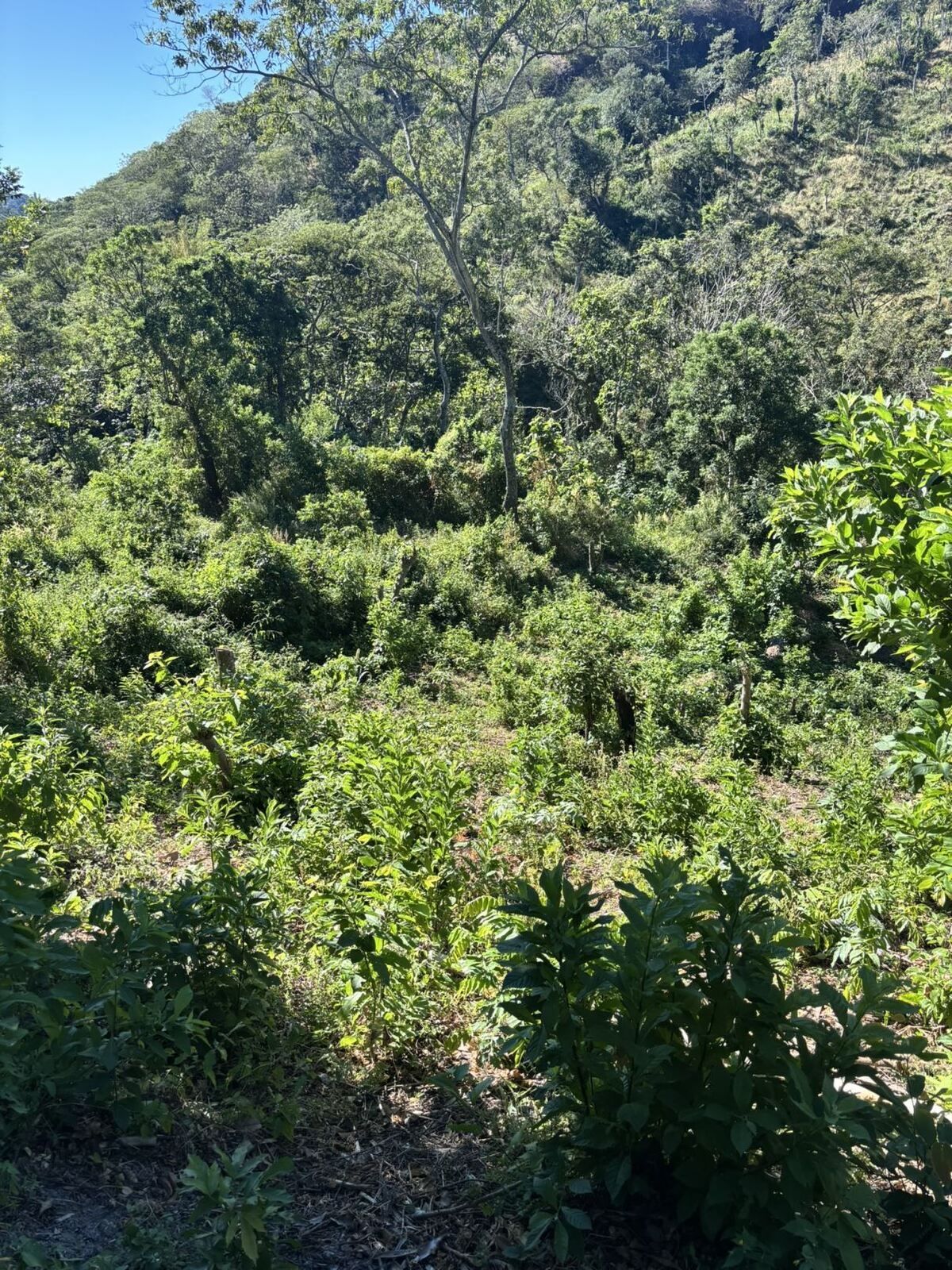 4 de 10