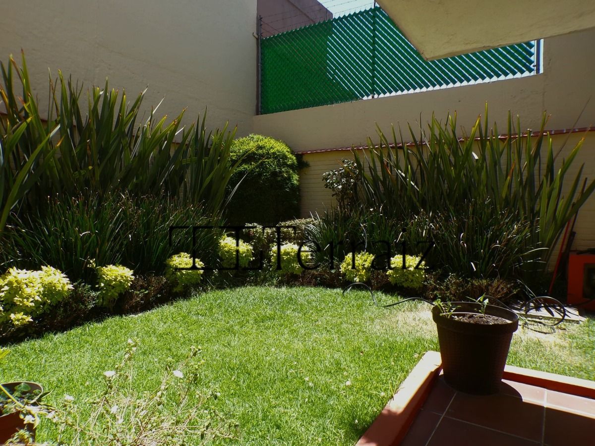 11 de 11