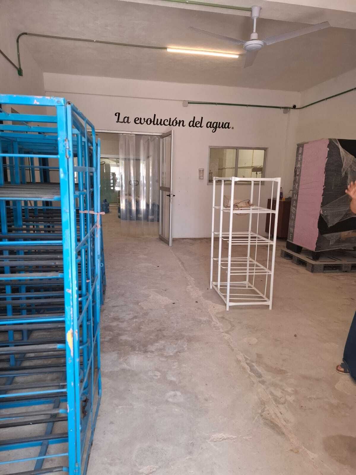 12 de 13