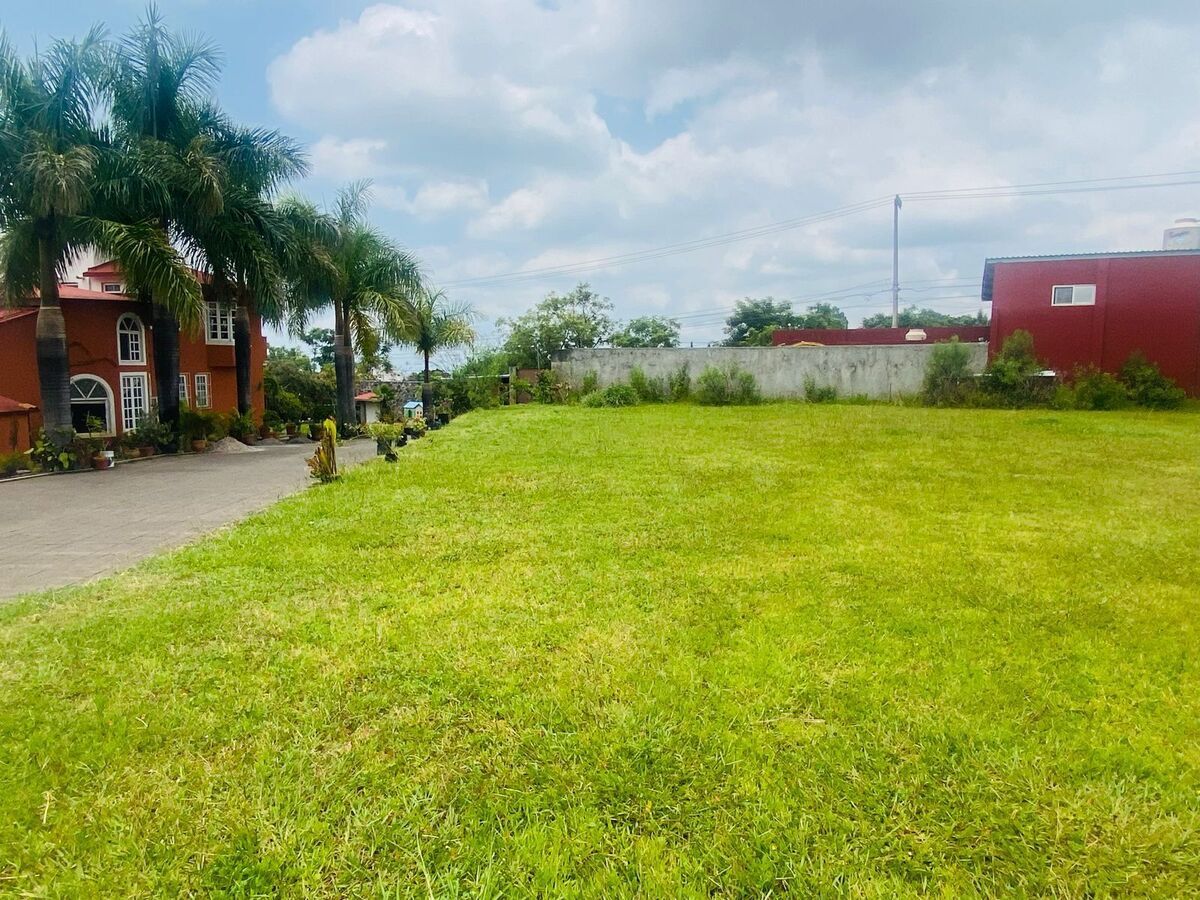 8 de 26