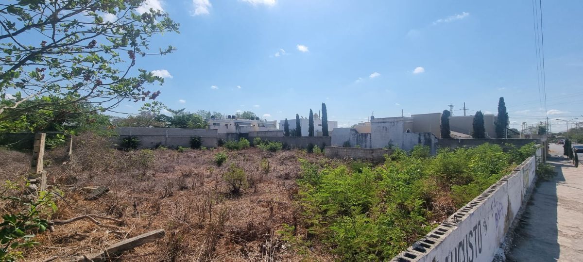 3 de 11: Foto antigua