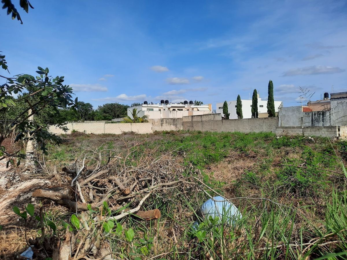 8 de 11: Foto antigua, nivel del terreno