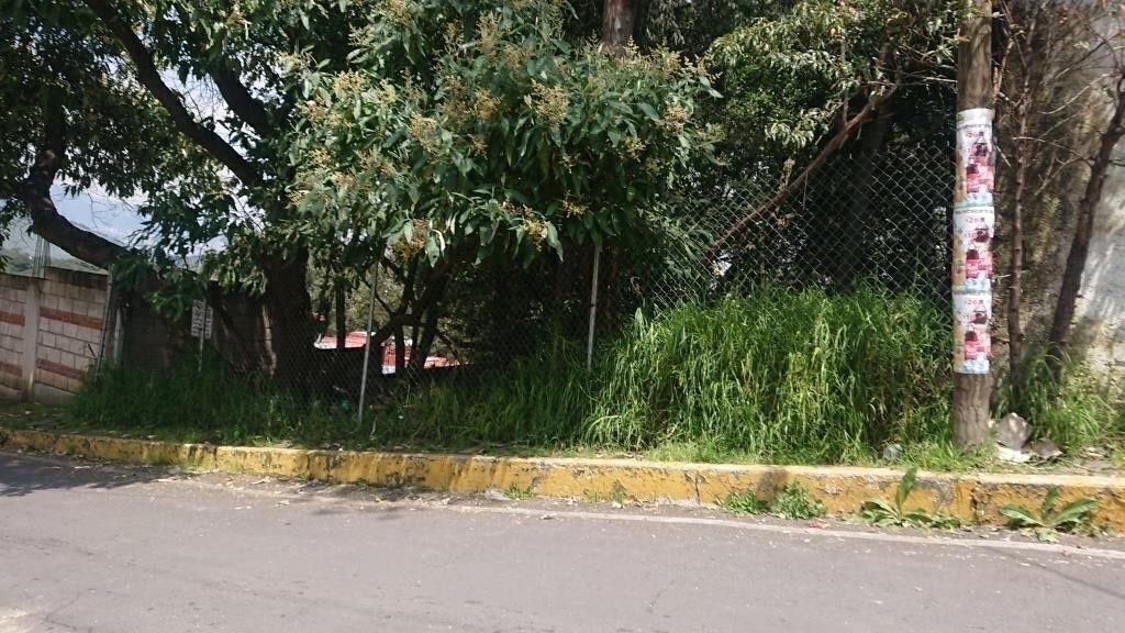 3 de 6