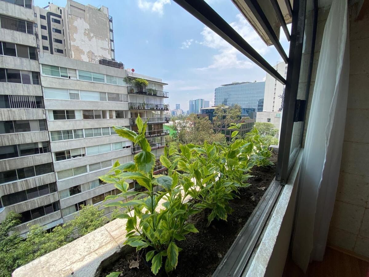 19 de 19