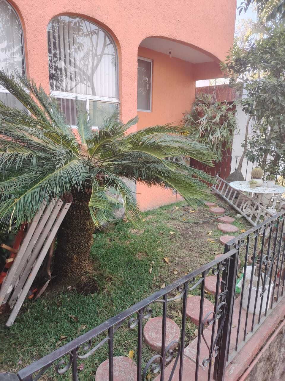 3 de 18