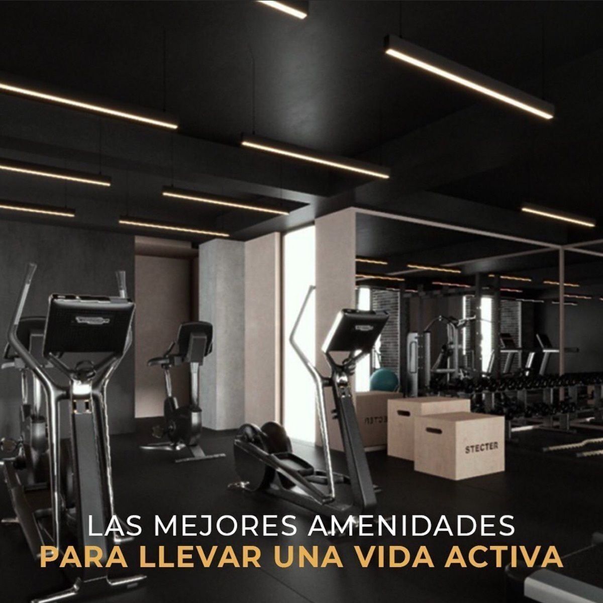 Black Eleven | Departamentos de autor en Tijuana - foto 5