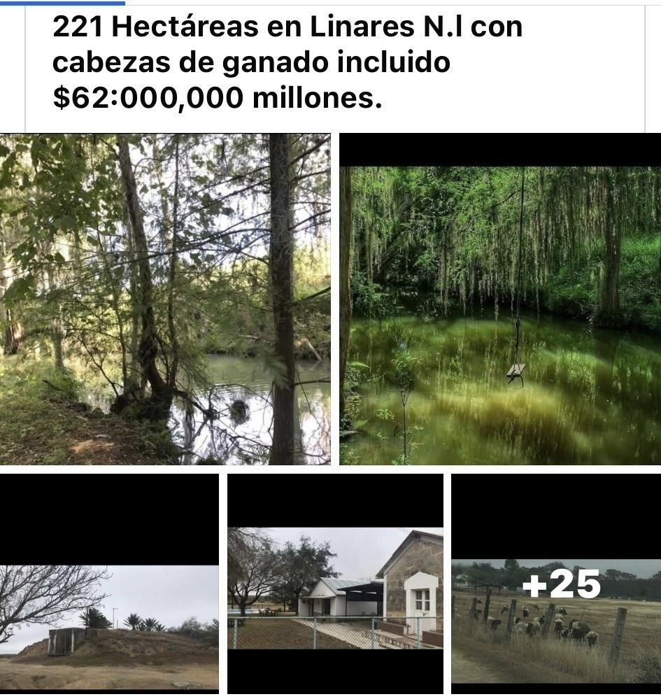 2 de 19