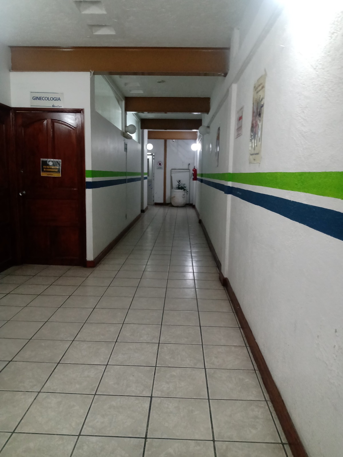 5 de 12