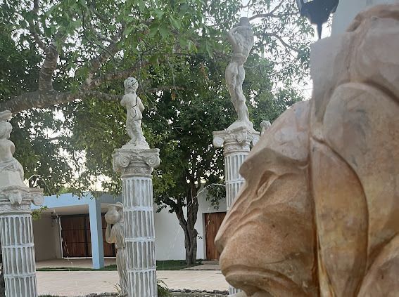 12 de 27