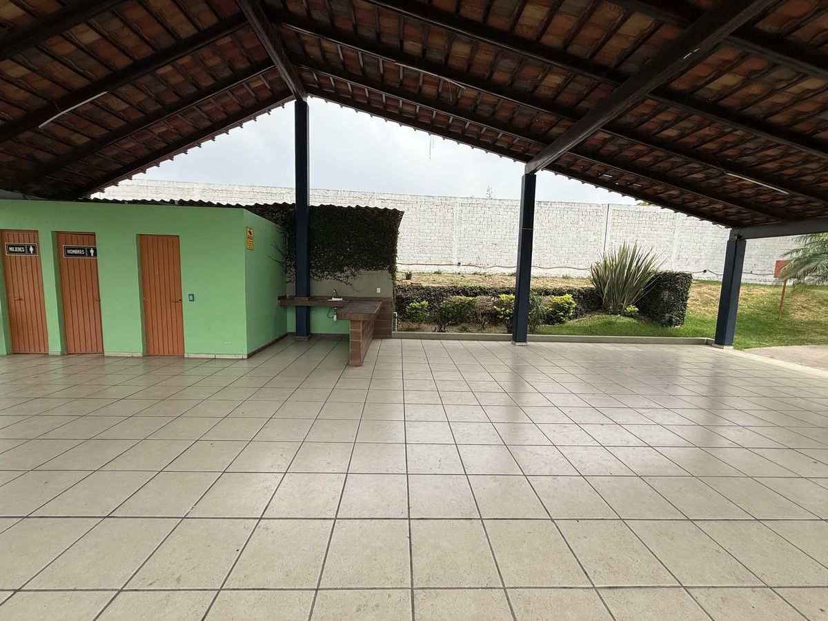 23 de 24