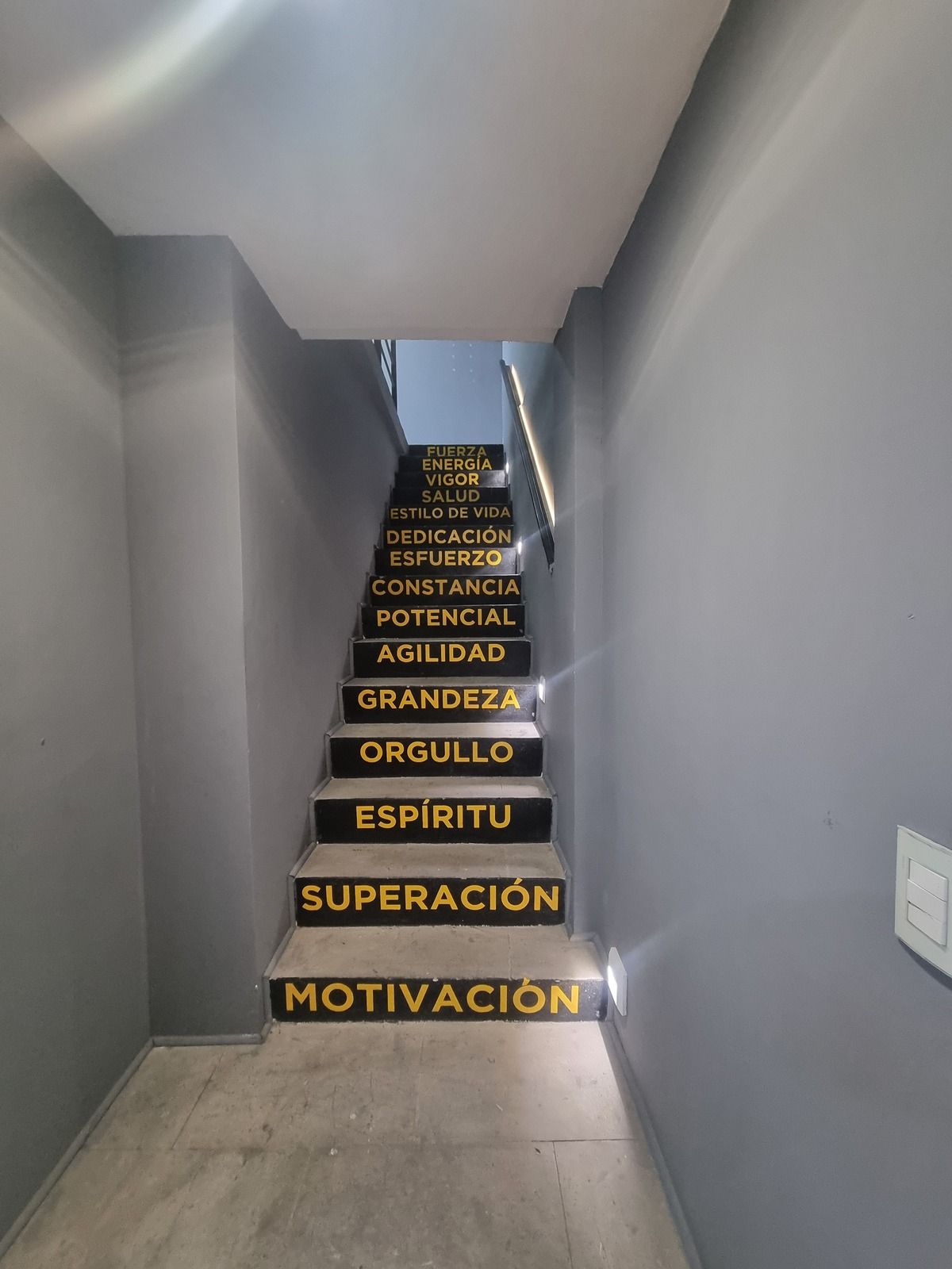 4 de 17