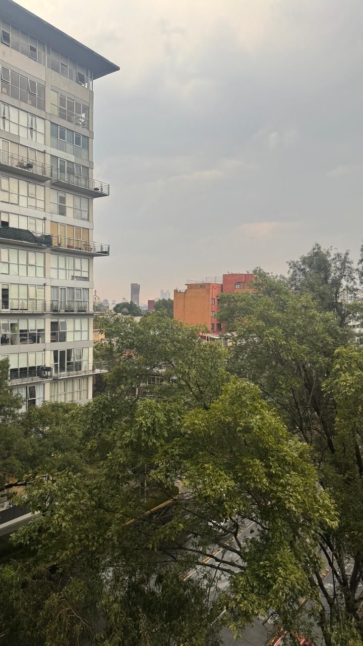 2 de 6