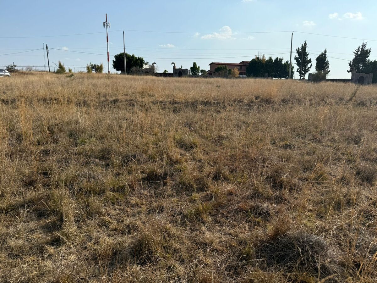 Imagen 8 de 8