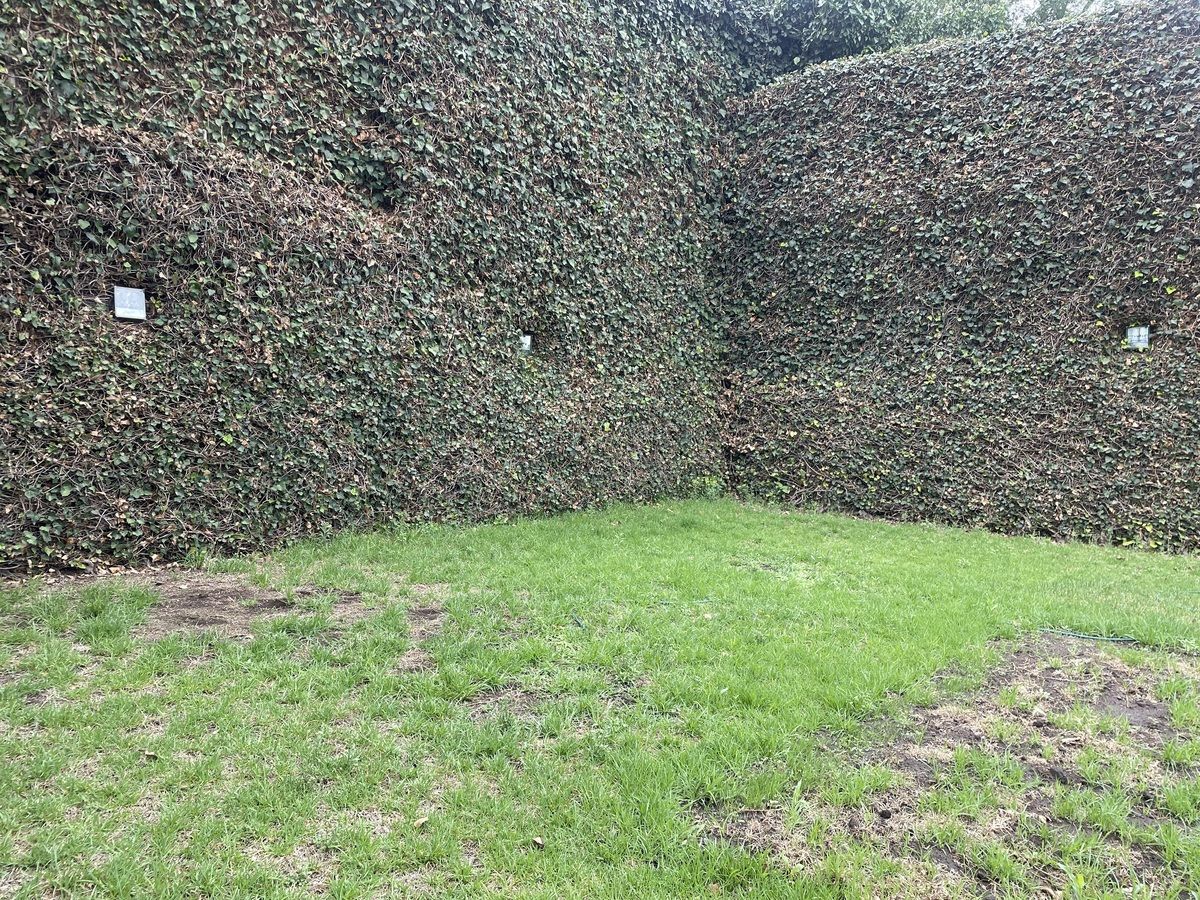 2 de 34