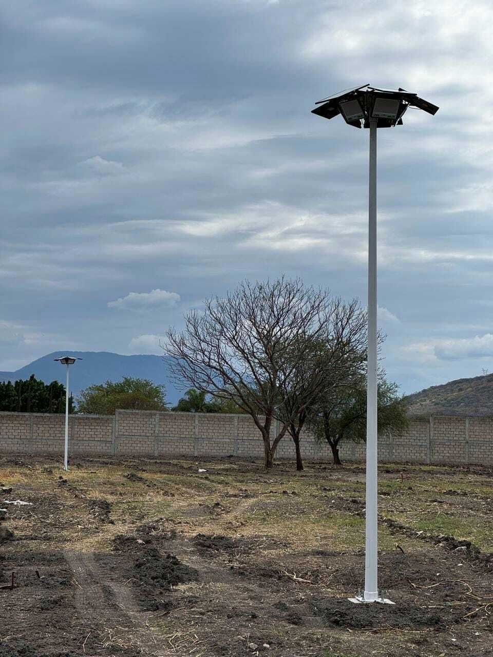 5 de 10