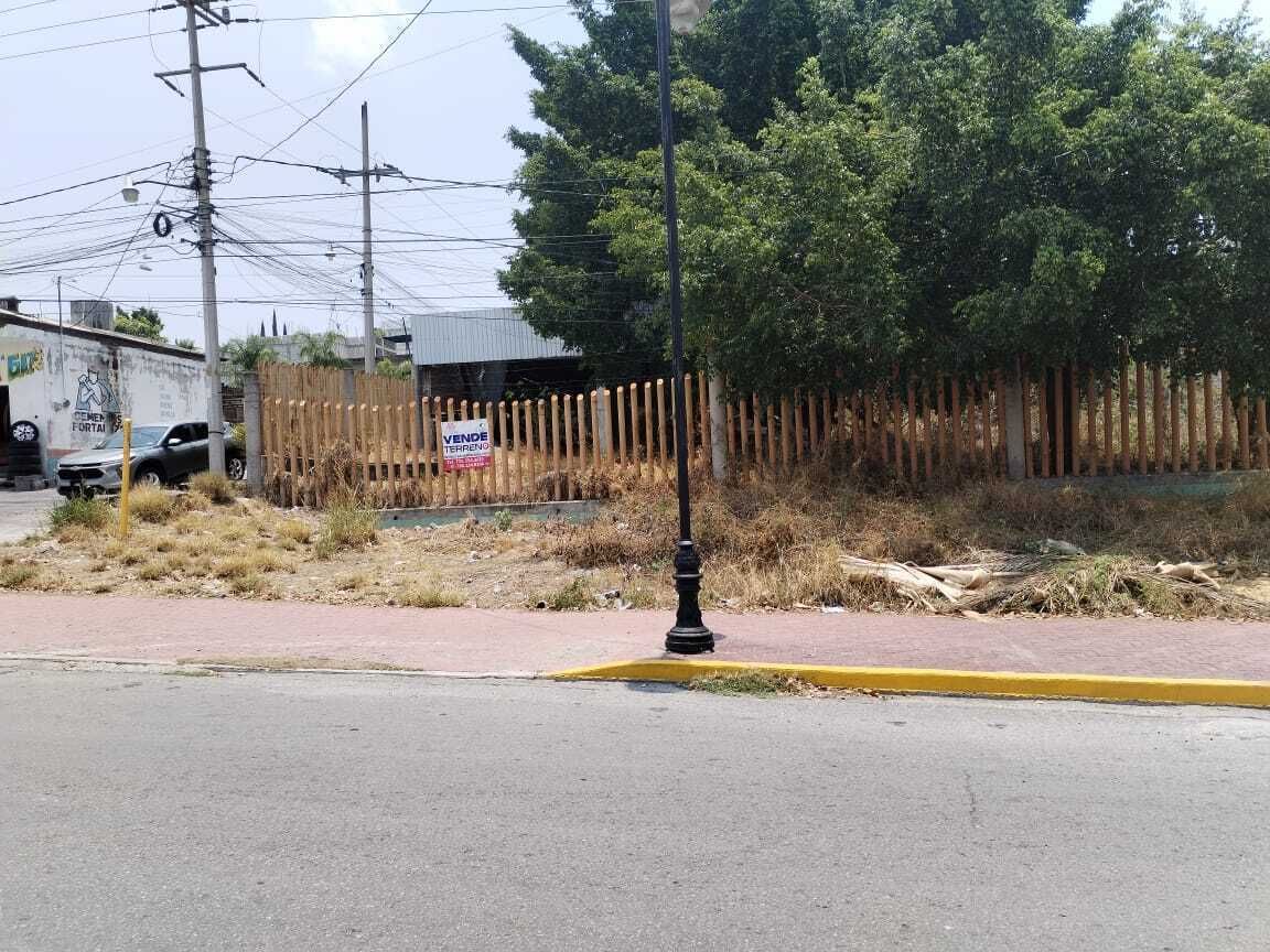 3 de 7