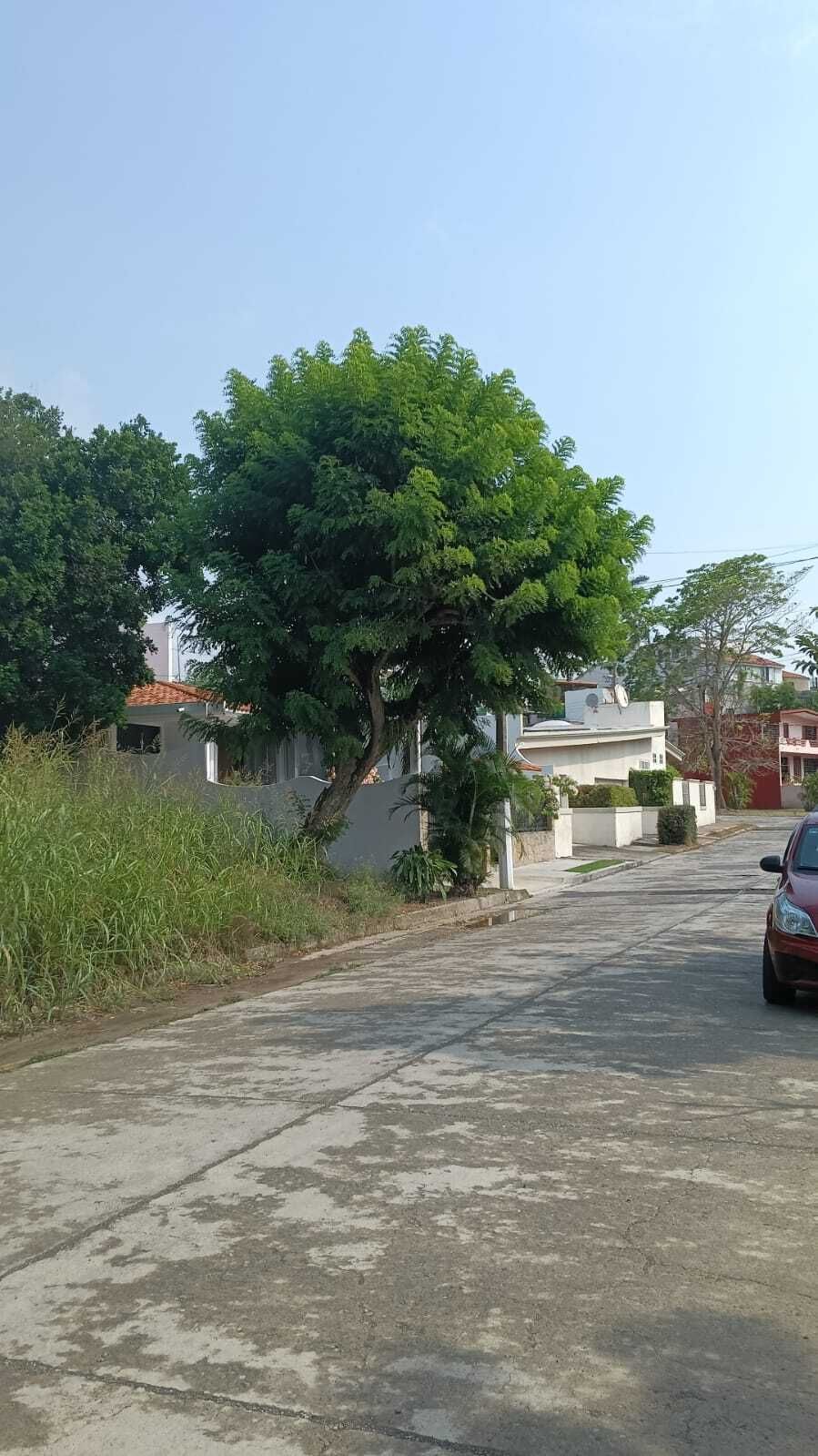 1 de 5