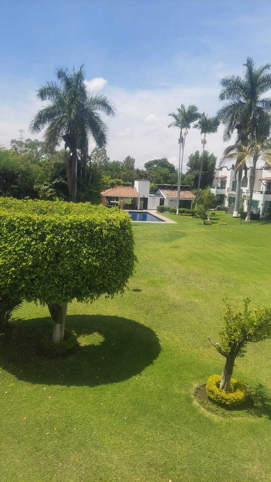 2 de 17