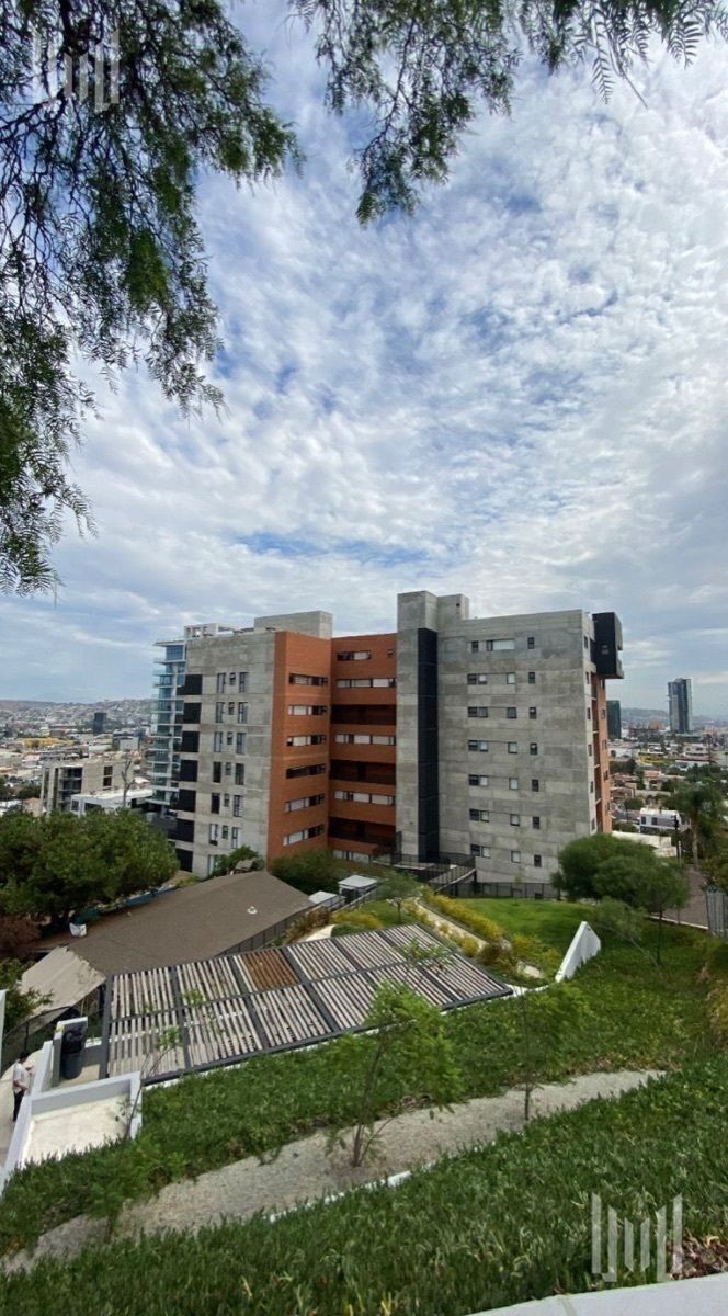 3 de 33