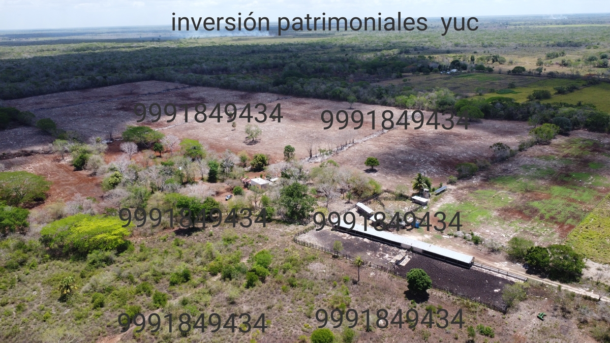 Imagen 1 de 10