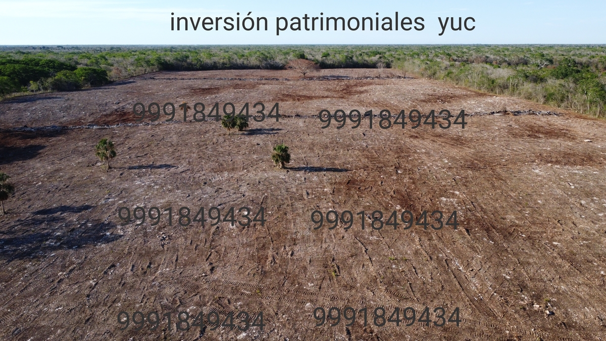 Imagen 4 de 10