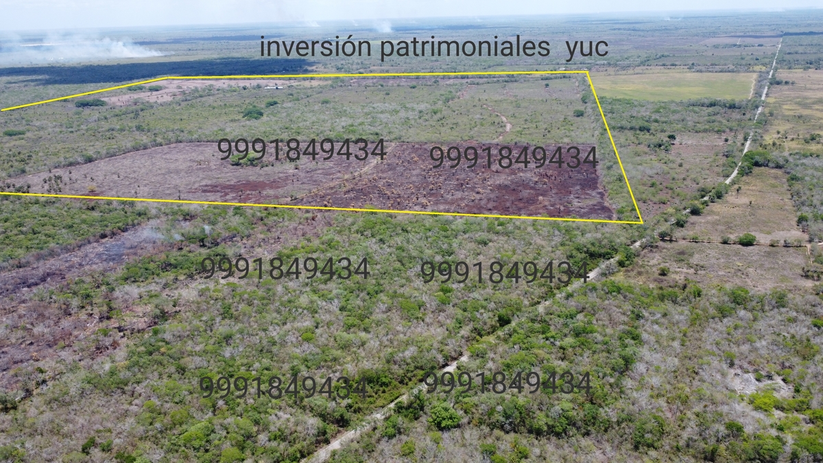 Imagen 2 de 10