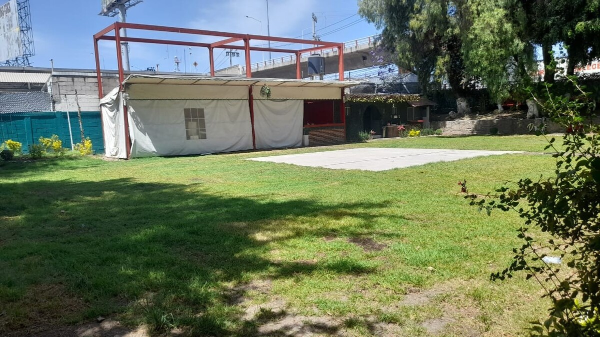 7 de 10