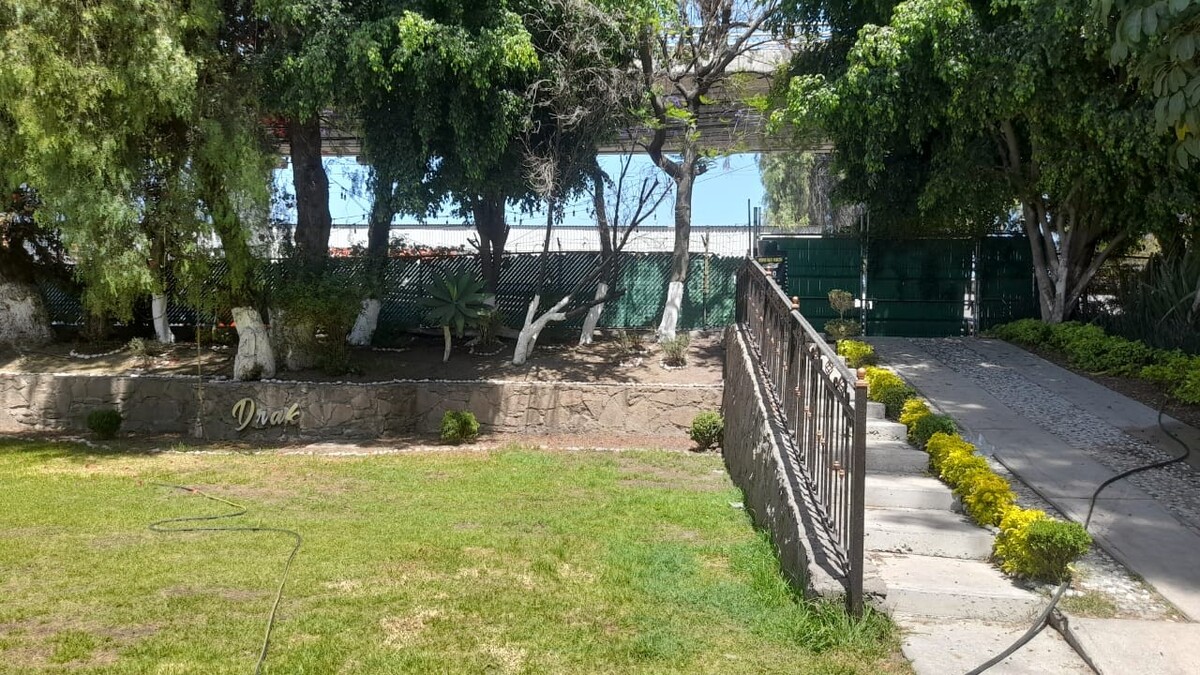 6 de 10