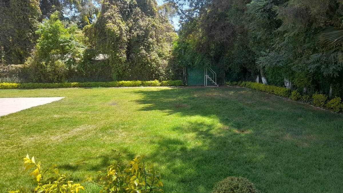 9 de 10