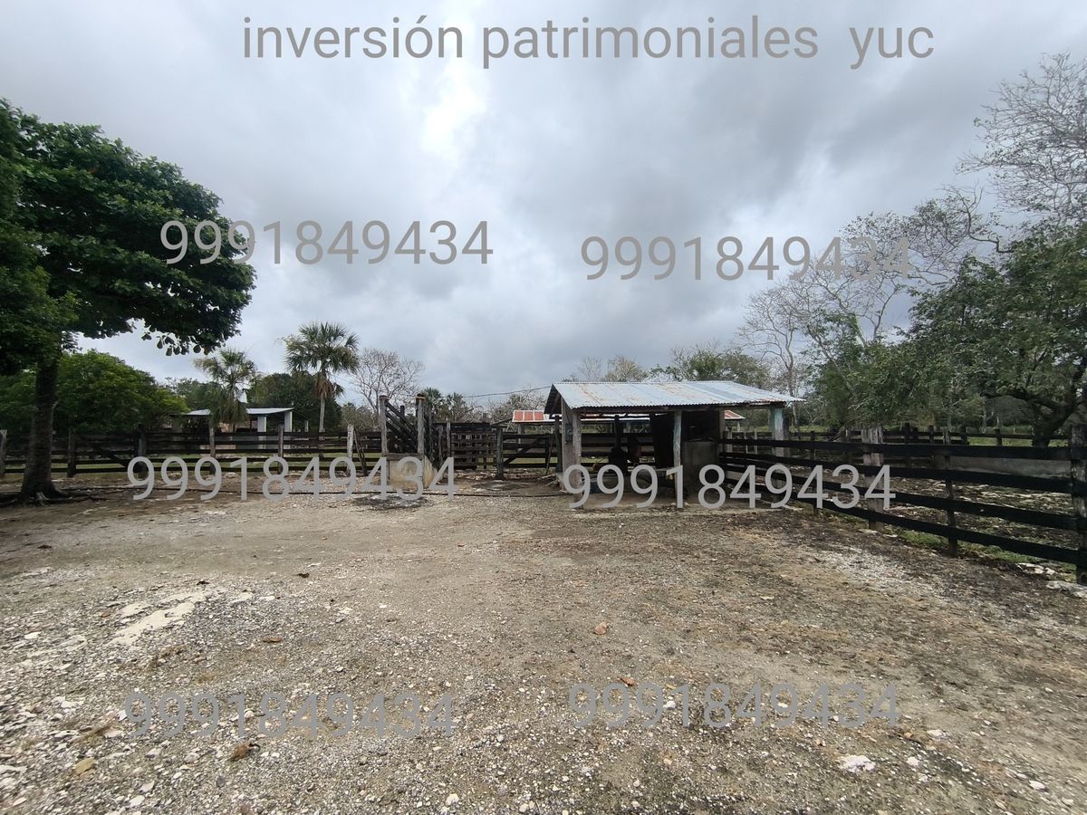 5 de 29