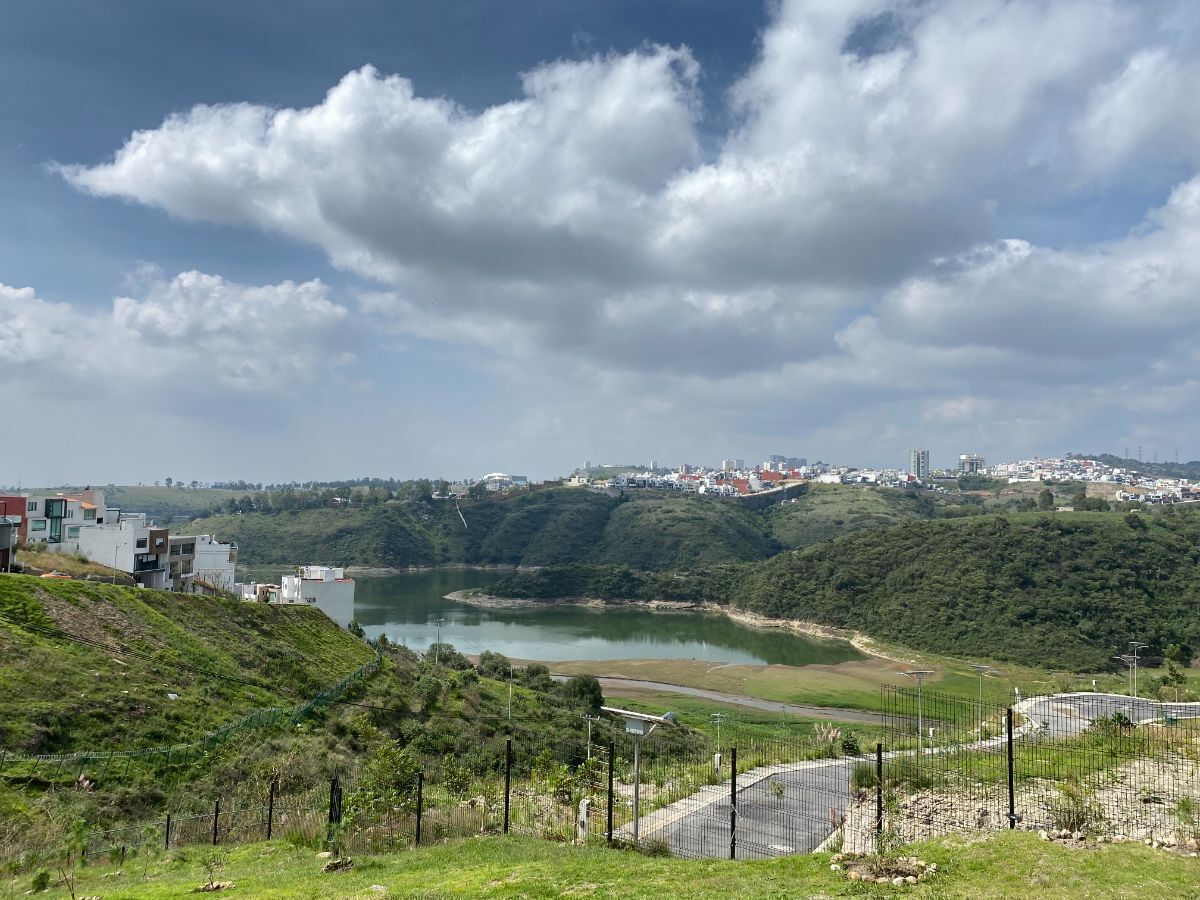 29 de 31