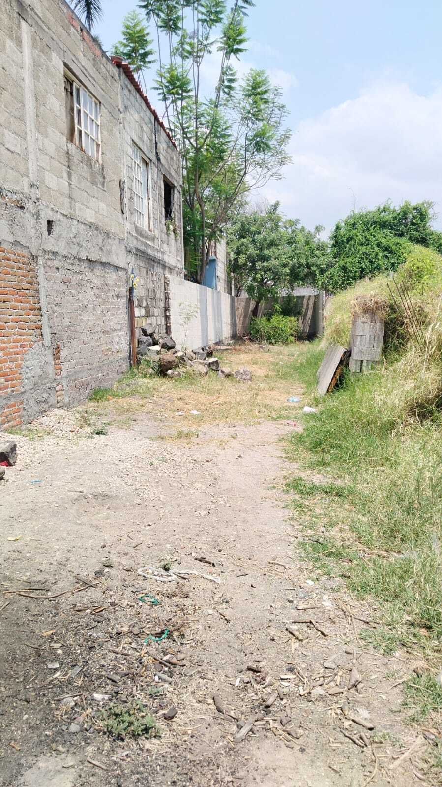 3 de 12