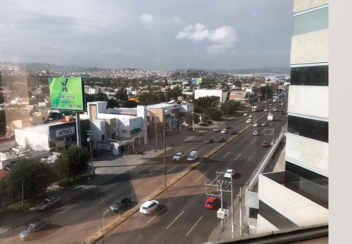 11 de 12