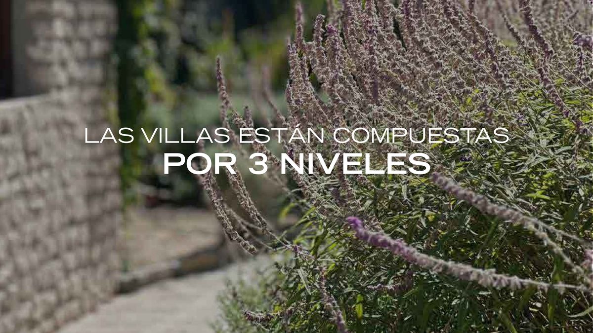 14 de 47