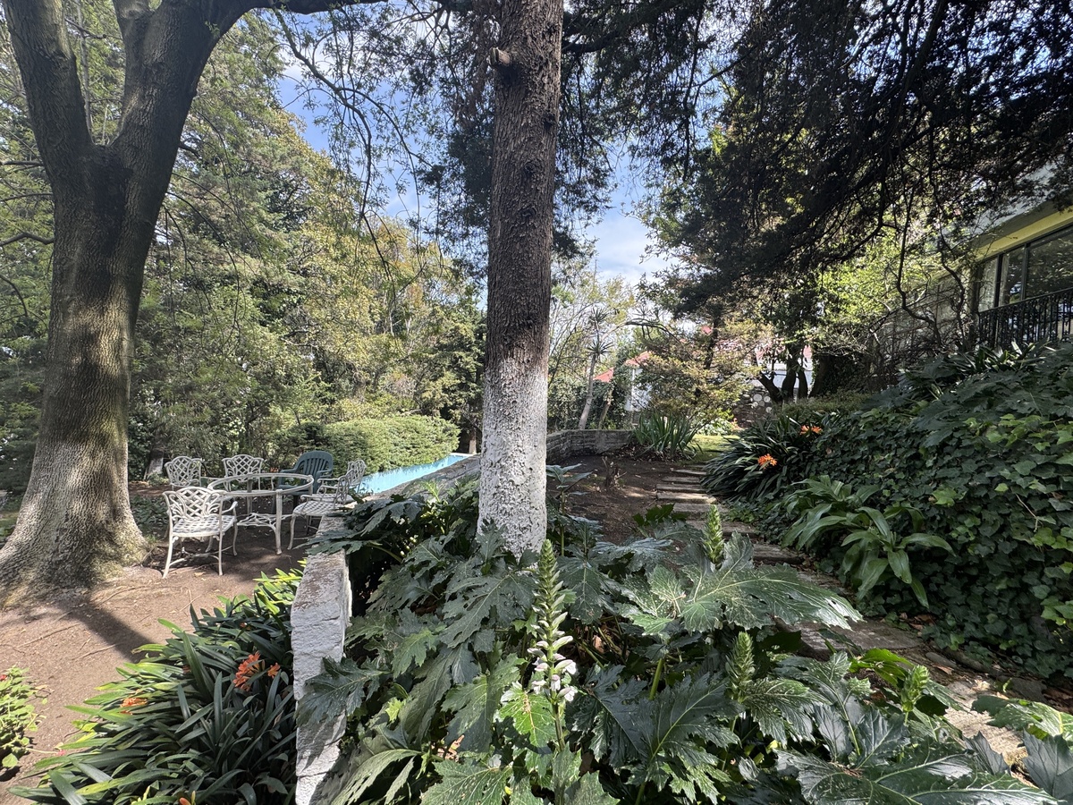 3 de 13