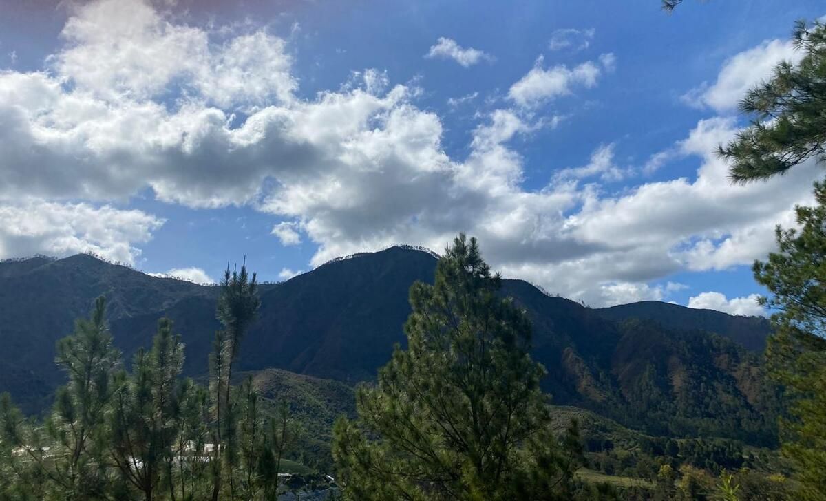 1 de 19