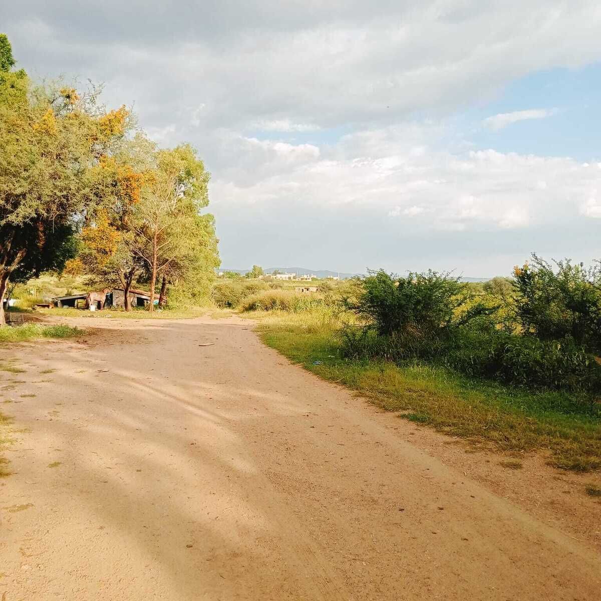 13 de 25