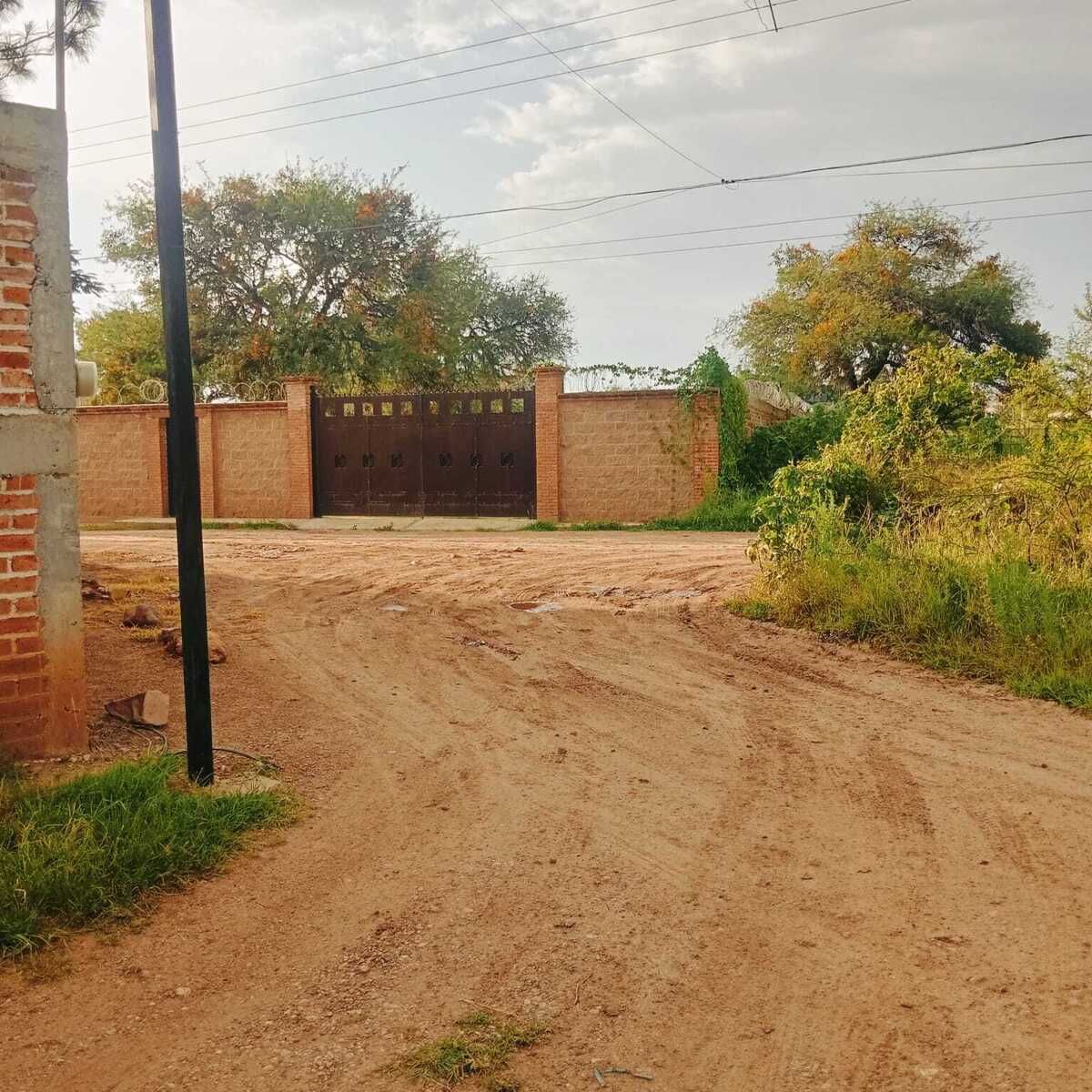 15 de 25