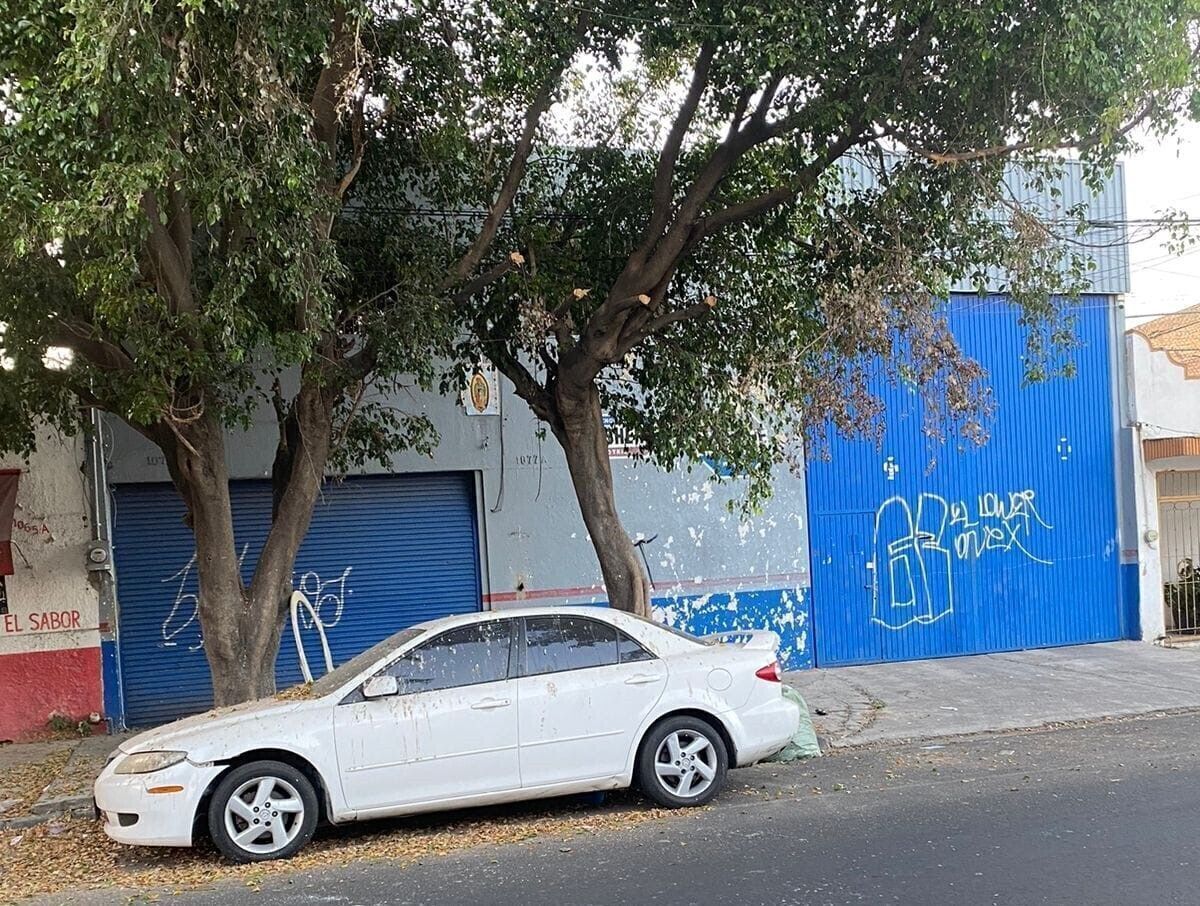 3 de 24