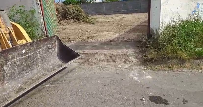 4 de 10