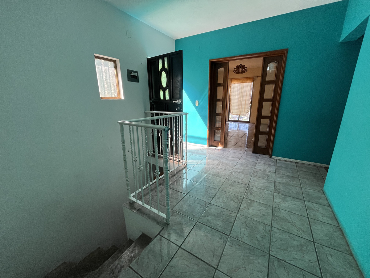 Imagen 3 de 10