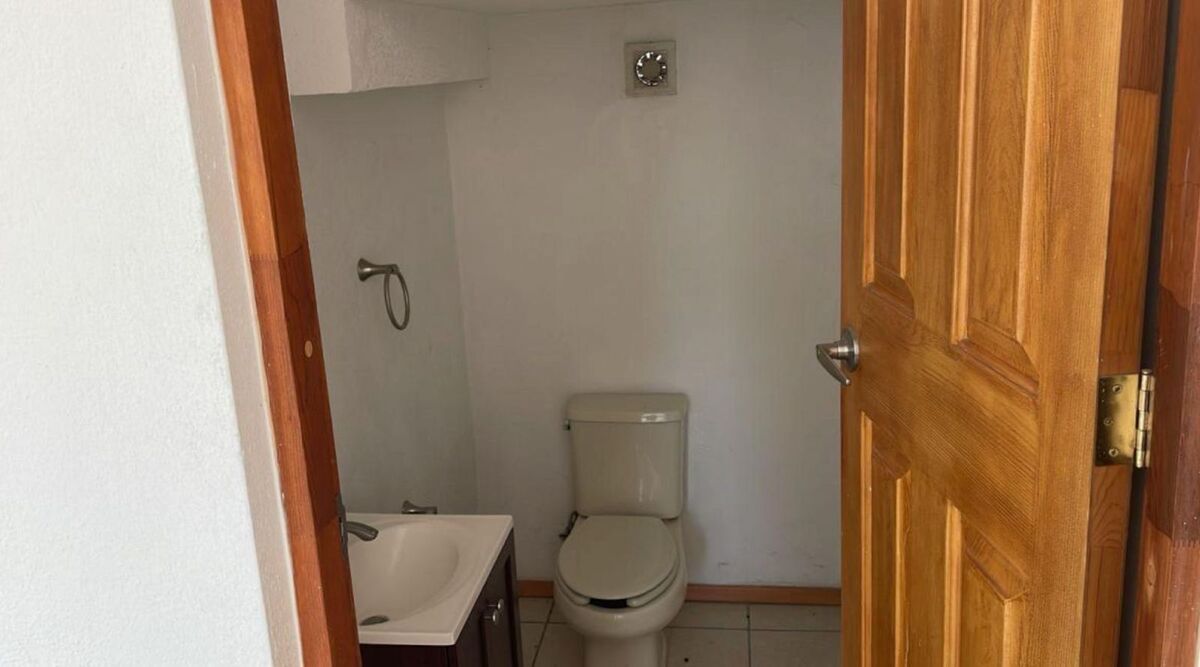 5 de 12