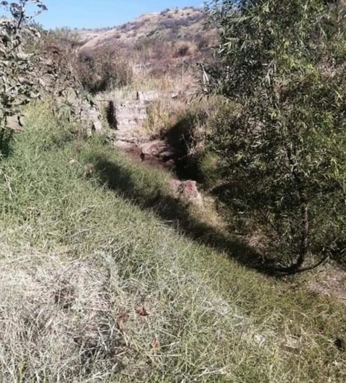 5 de 6