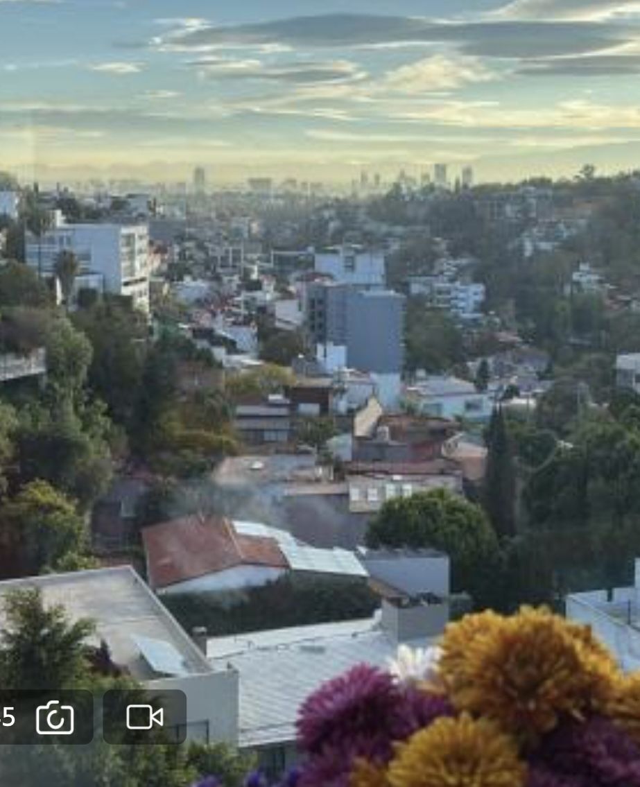 25 de 29
