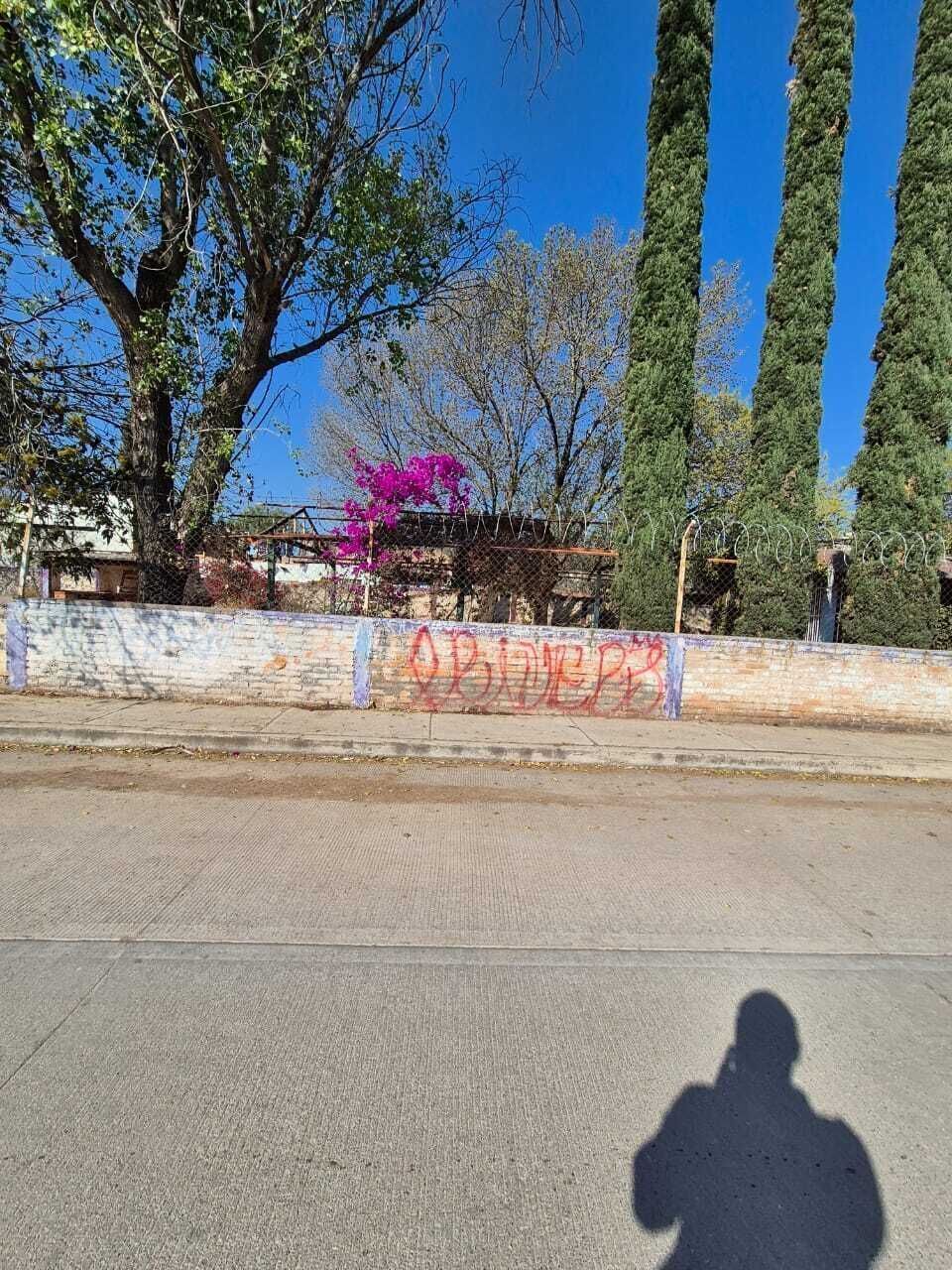 3 de 3