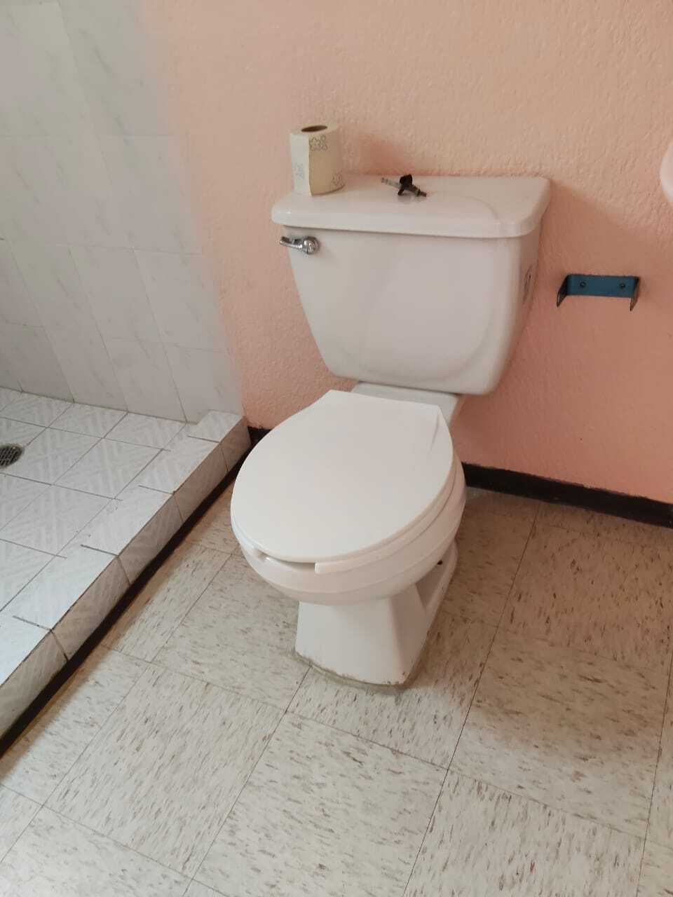 8 de 24