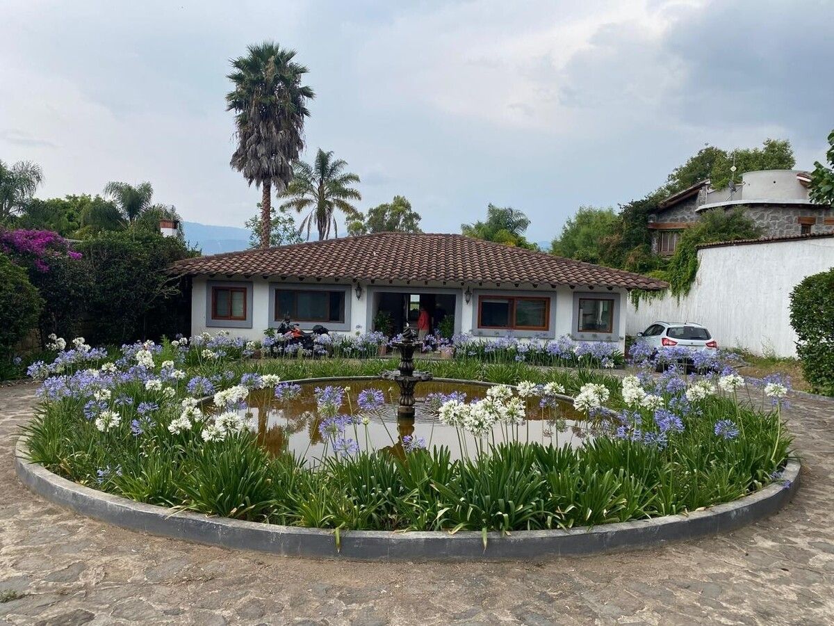 1 de 19